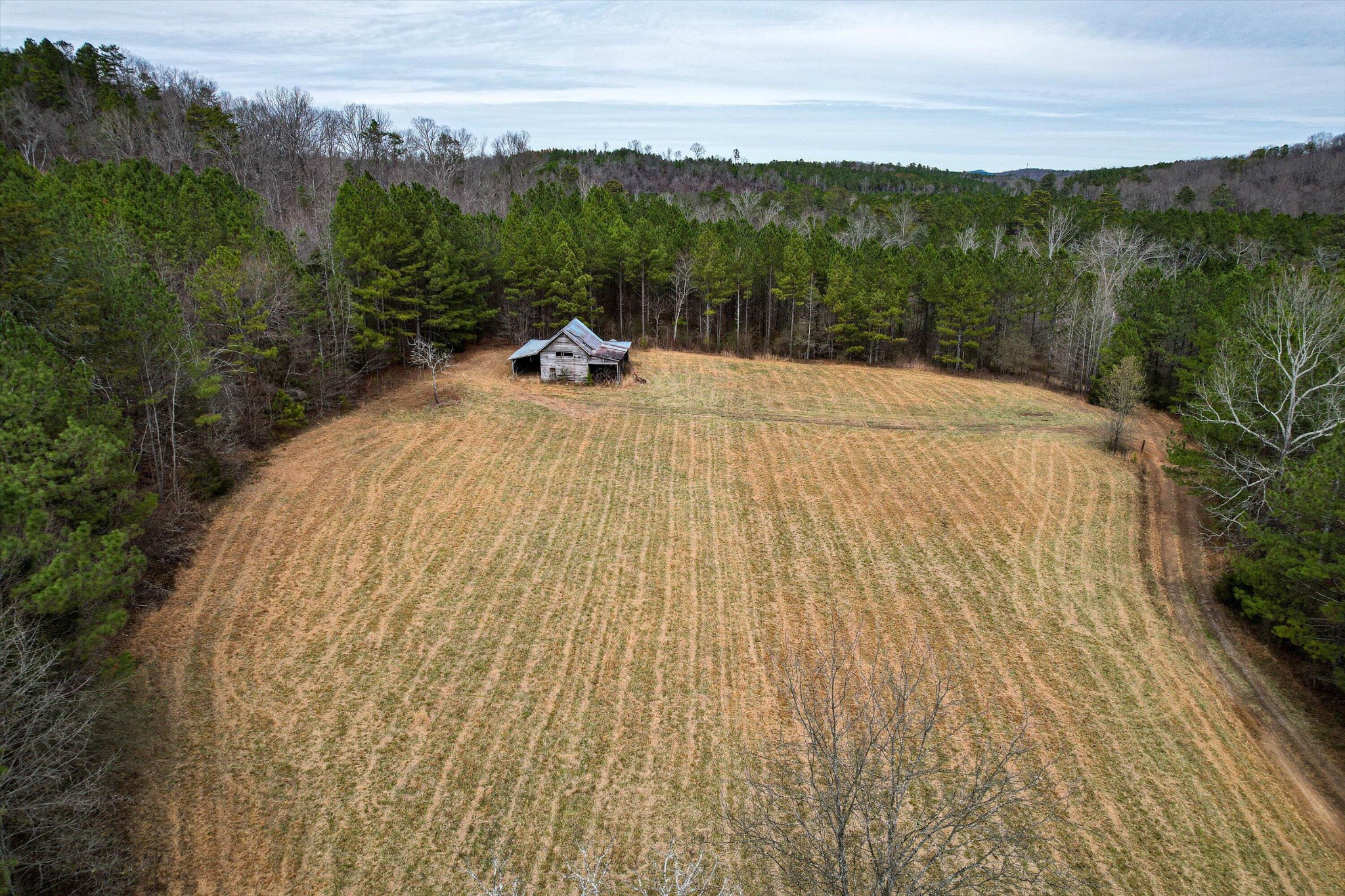 156 Henderson Road Trion, GA 30753 - Photo 6 of 34 Gallery Image 6