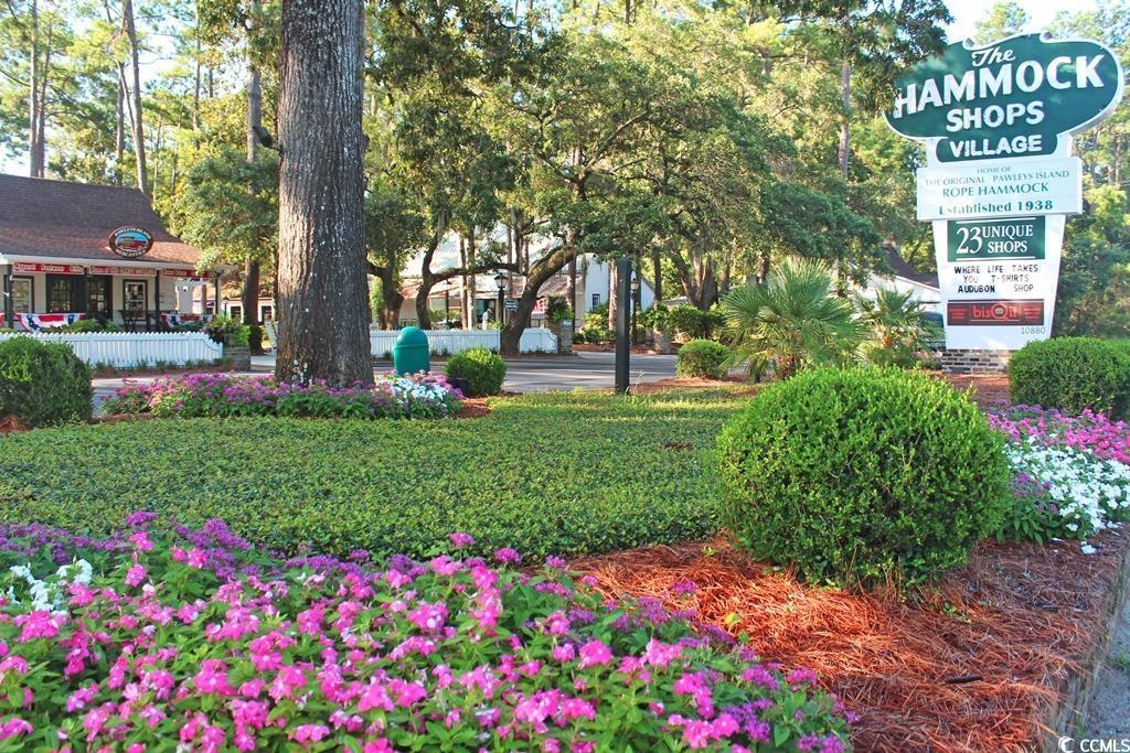83 Sea Pines Road Pawleys Island, SC 29585 - Photo 4 of 4 View of home's community
