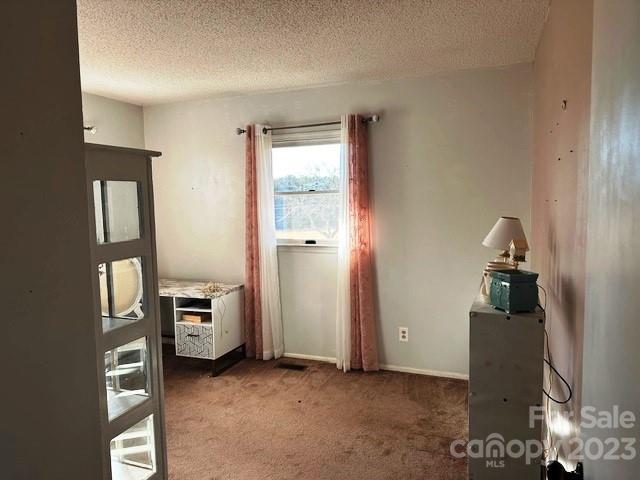 320 Luckadoo Road Bostic, NC 28018 - Photo 18 of 24