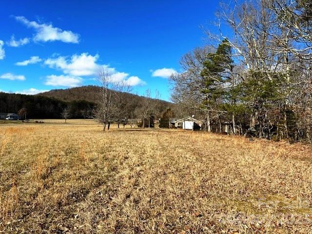 320 Luckadoo Road Bostic, NC 28018 - Photo 4 of 24 a view of outdoor space with trees all around
