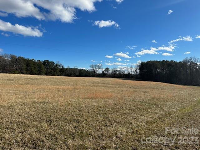 320 Luckadoo Road Bostic, NC 28018 - Photo 6 of 24 a view of outside space and mountain view