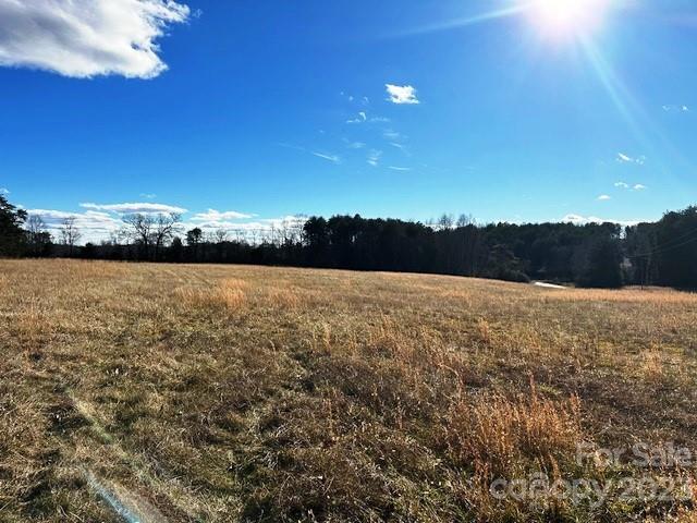 320 Luckadoo Road Bostic, NC 28018 - Photo 8 of 24 a view of outside space and a yard