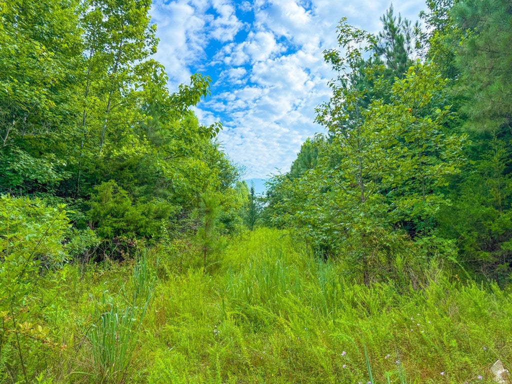 Mountain Hall Road Crewe, VA 23930 - Photo 4 of 24 Gallery Image 4