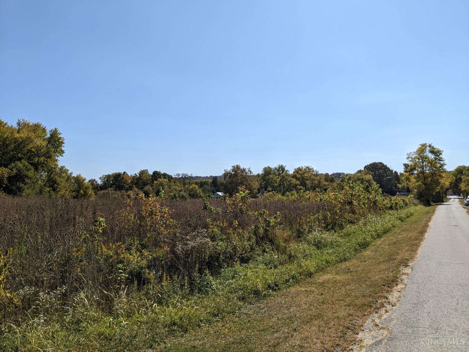 2817 Us Rt 52 Felicity, OH 45120 - Photo 8 of 13
