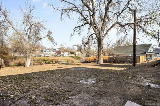 a view of dirt yard with a large tree