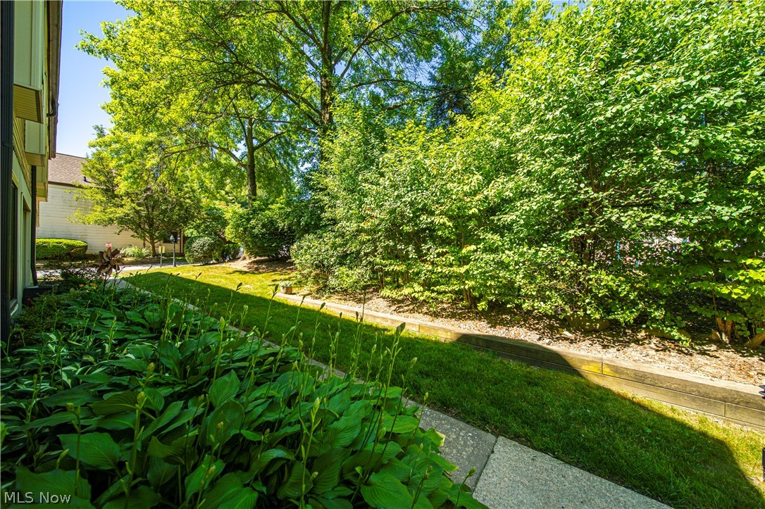 938 Som Center Road Cleveland, OH 44143 - Photo 32 of 35 Gallery Image 32
