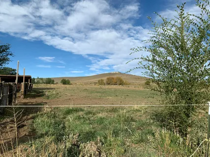 a view of an outdoor space and a yard