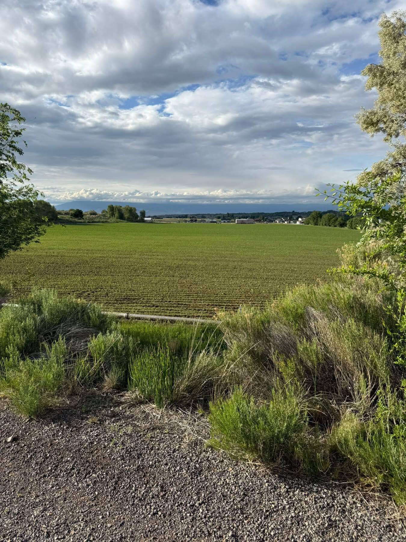 Tbd Kiowa Road Montrose, CO 81403 - Photo 2 of 11 IMG_5401