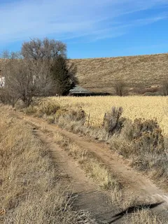 a view of beach and ocean