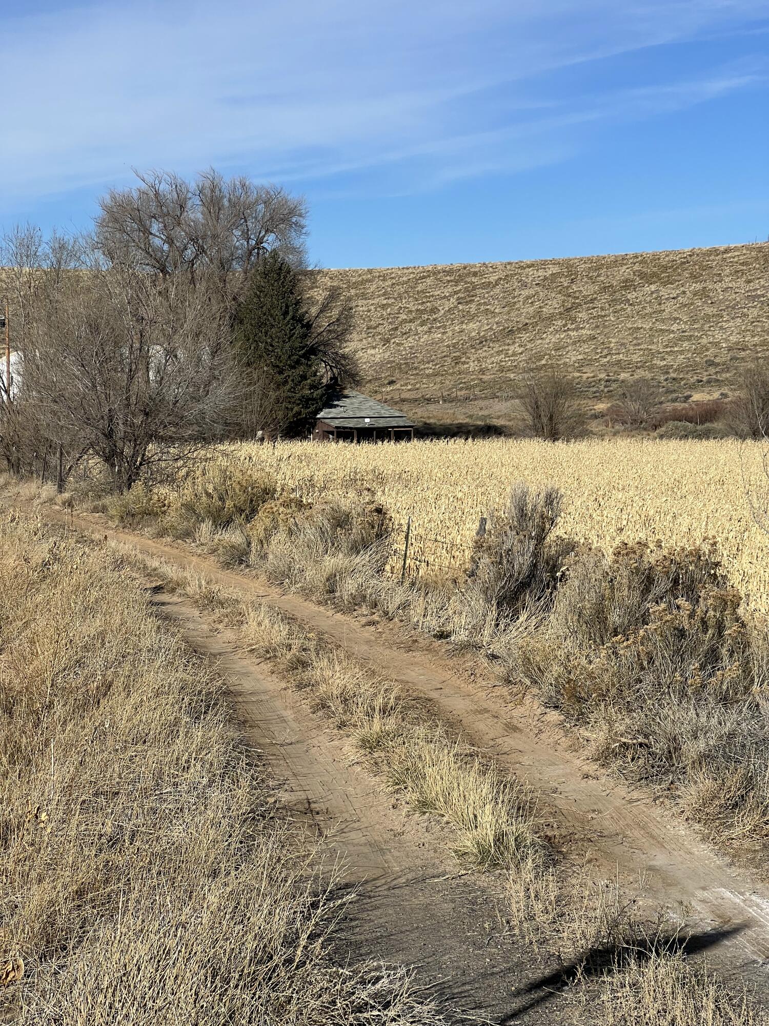 Tbd Kiowa Road Montrose, CO 81403 - Photo 3 of 11 Field
