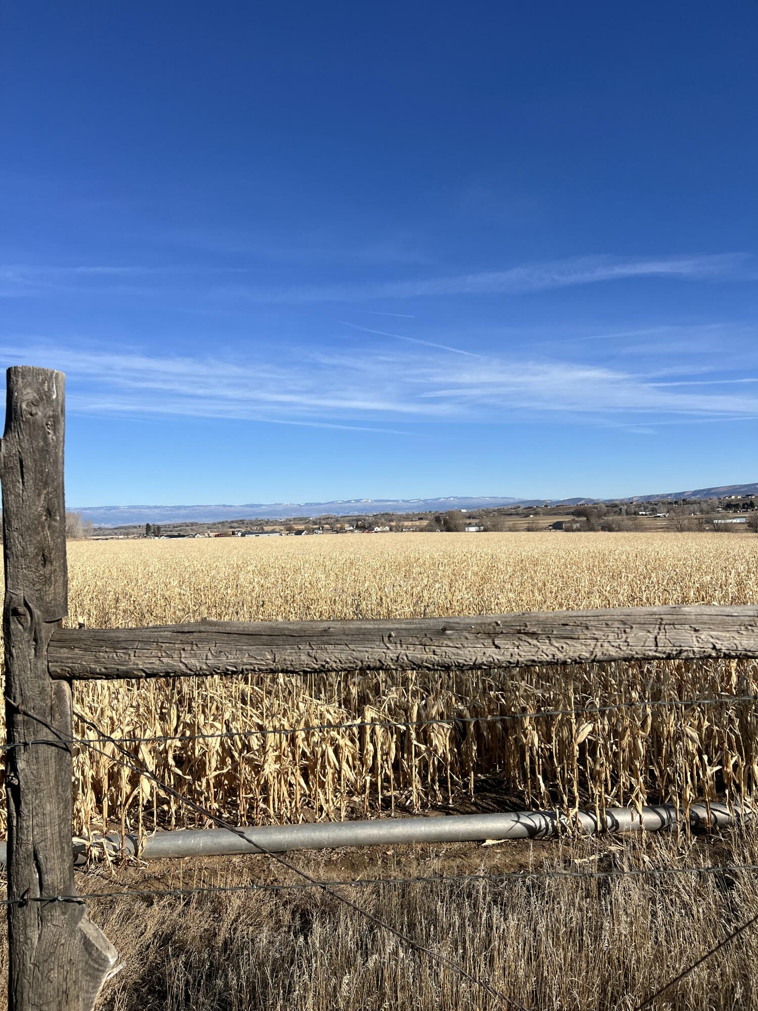 Tbd Kiowa Road Montrose, CO 81403 - Photo 4 of 11 IMG_6240