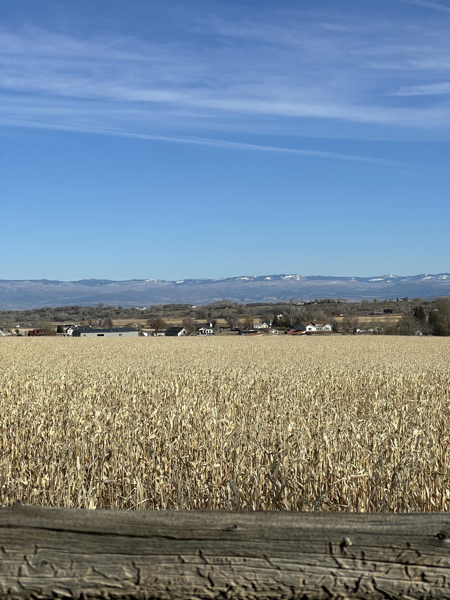 Tbd Kiowa Road Montrose, CO 81403 - Photo 5 of 11 IMG_6241