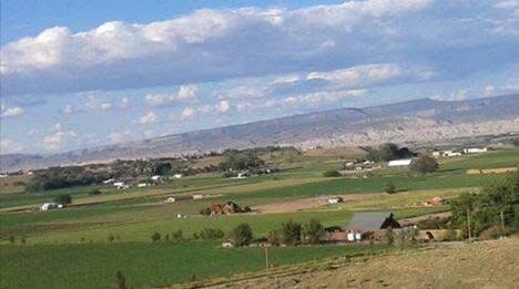 Tbd Kiowa Road Montrose, CO 81403 - Photo 8 of 11 IMG_6539