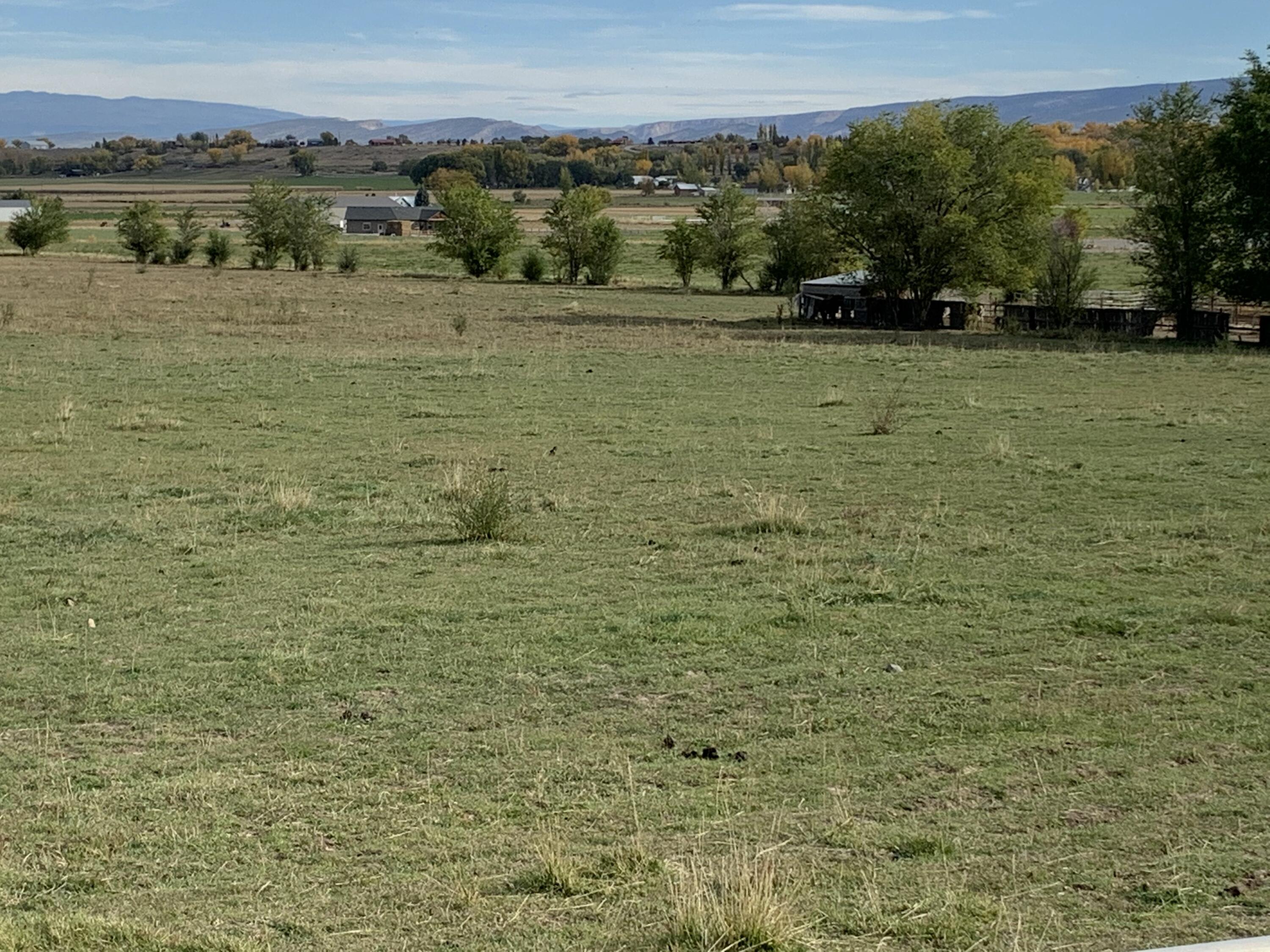 Tbd Kiowa Road Montrose, CO 81403 - Photo 9 of 11 View to East Before Corn