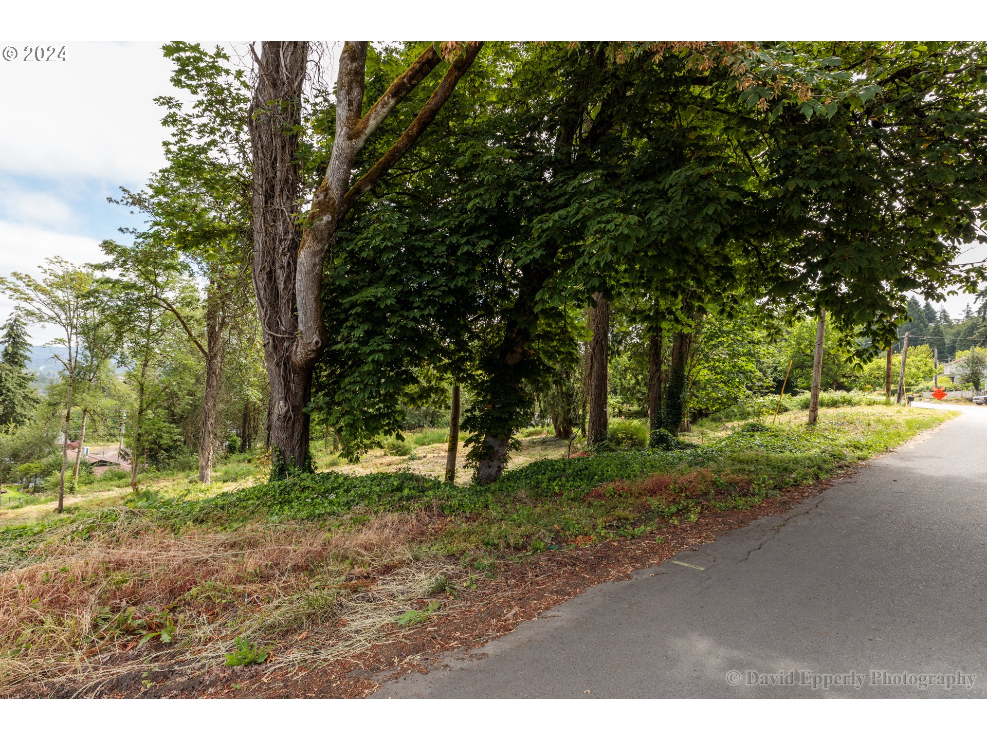 East E Street Rainier, OR 97048 - Photo 3 of 10 a view of outdoor space with trees