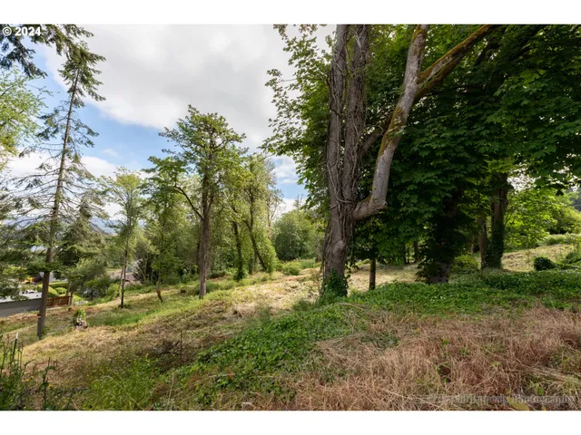 a view of outdoor space with trees all around