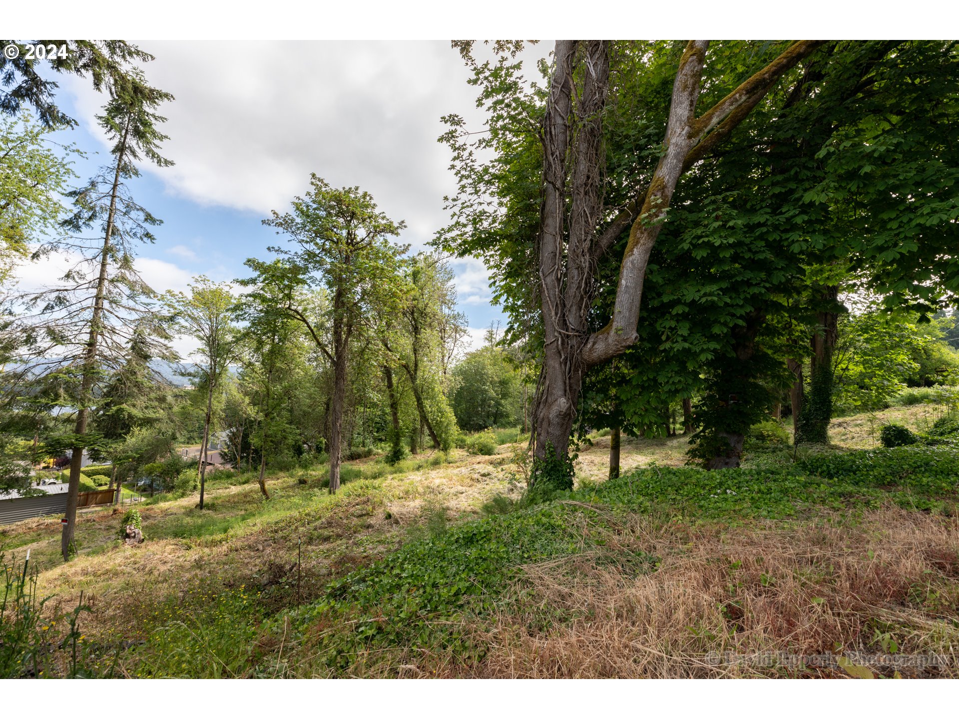 East E Street Rainier, OR 97048 - Photo 4 of 10 a view of outdoor space with trees all around