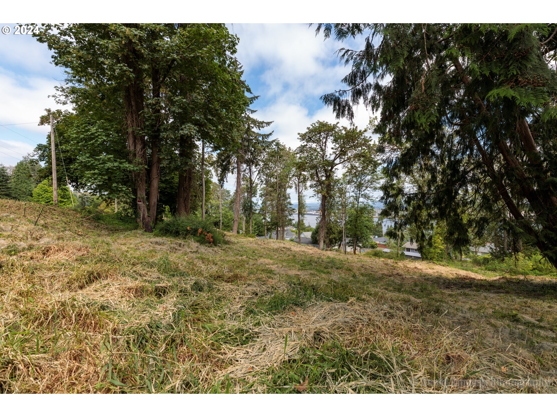 East E Street Rainier, OR 97048 - Photo 5 of 10 a view of outdoor space with trees