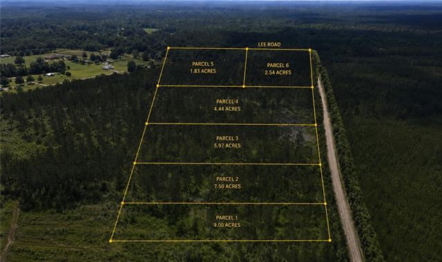 Lot3-tbd Lee Road Franklinton, LA 70438 - Photo 2 of 10 Gallery Image 2