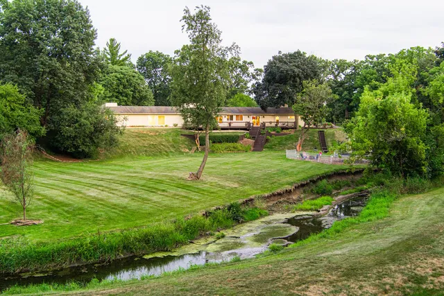 a view of a yard with a tree