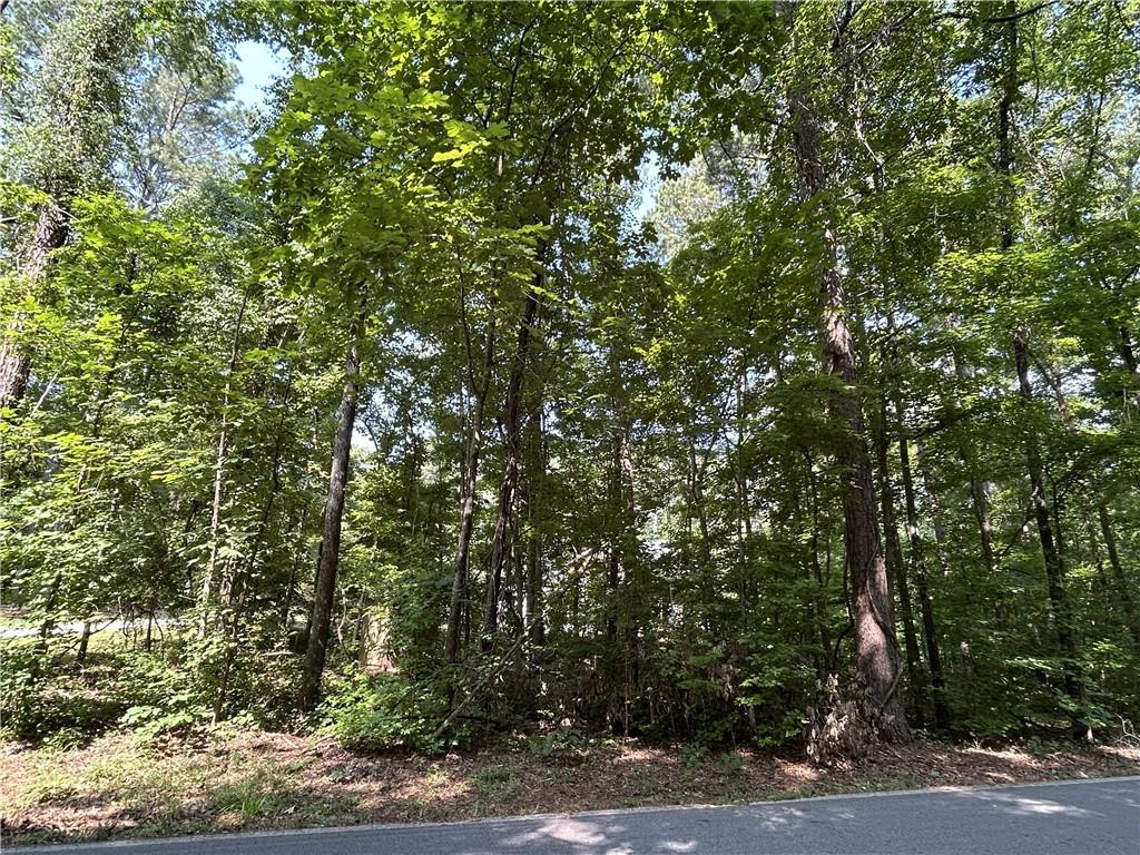 390 Lummus Road Covington, GA 30016 - Photo 32 of 34