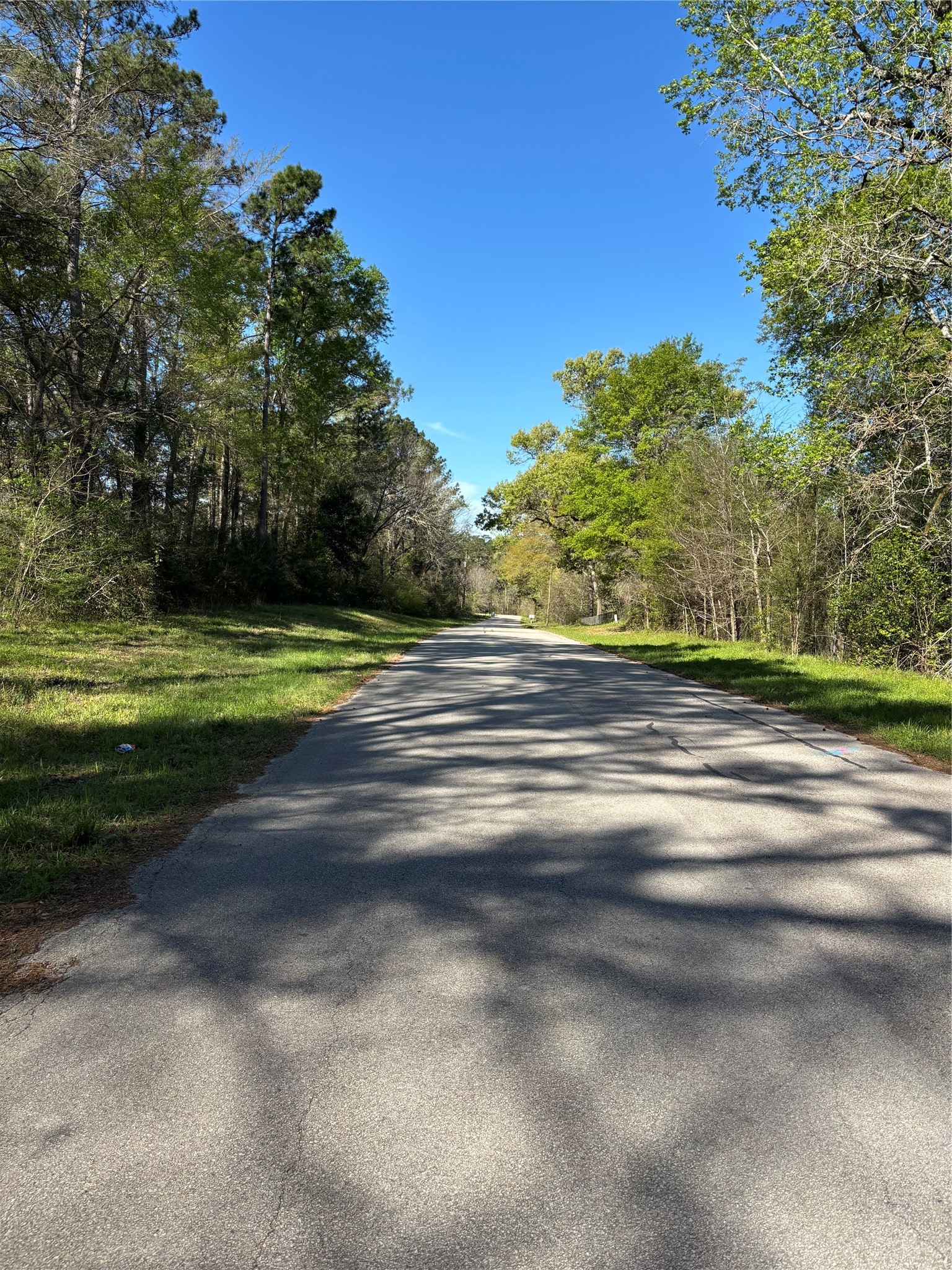 373 Johnson Road Huntsville, TX 77320 - Photo 12 of 12 Paved road!