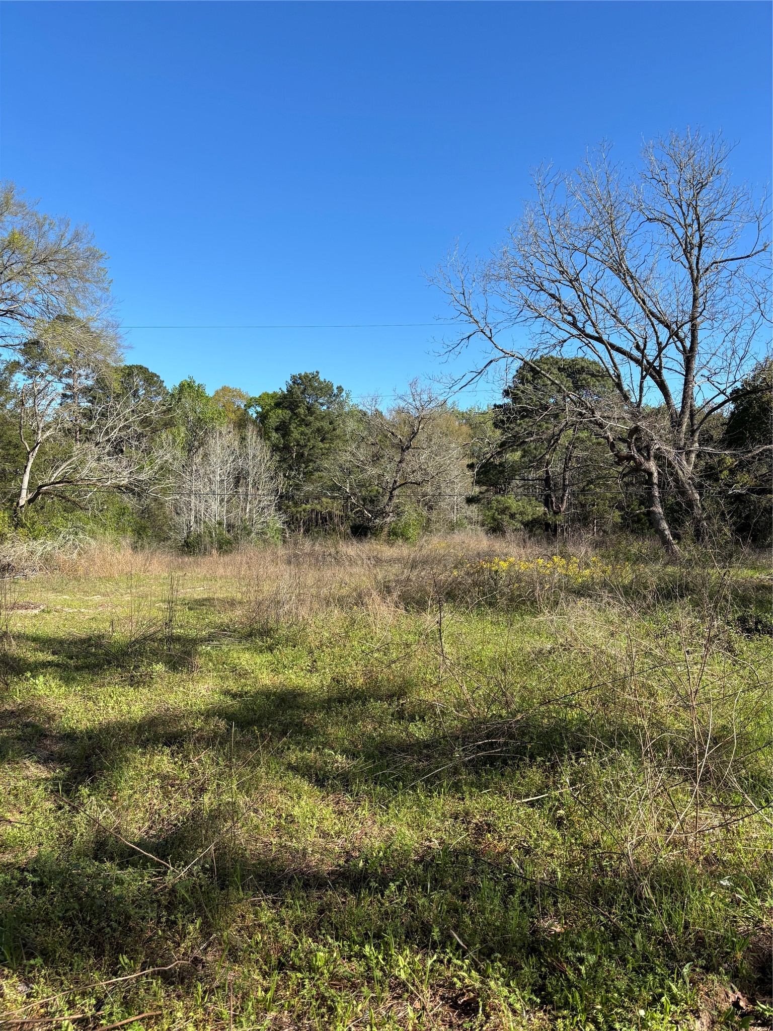 373 Johnson Road Huntsville, TX 77320 - Photo 2 of 12 I have oak trees that are just waiting for you to hang a swing up for playing aroud.
