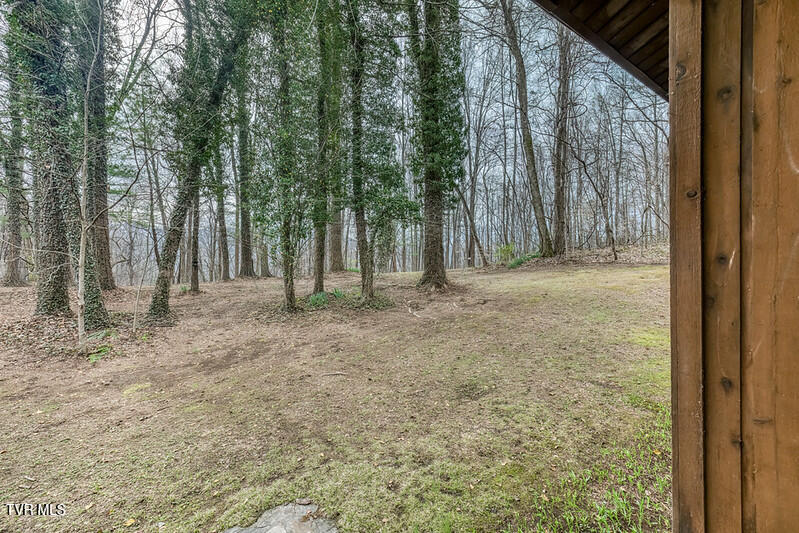 2201 Nantucket Road Johnson City, TN 37604 - Photo 3 of 64 2201 Nantucket Rd-3-L