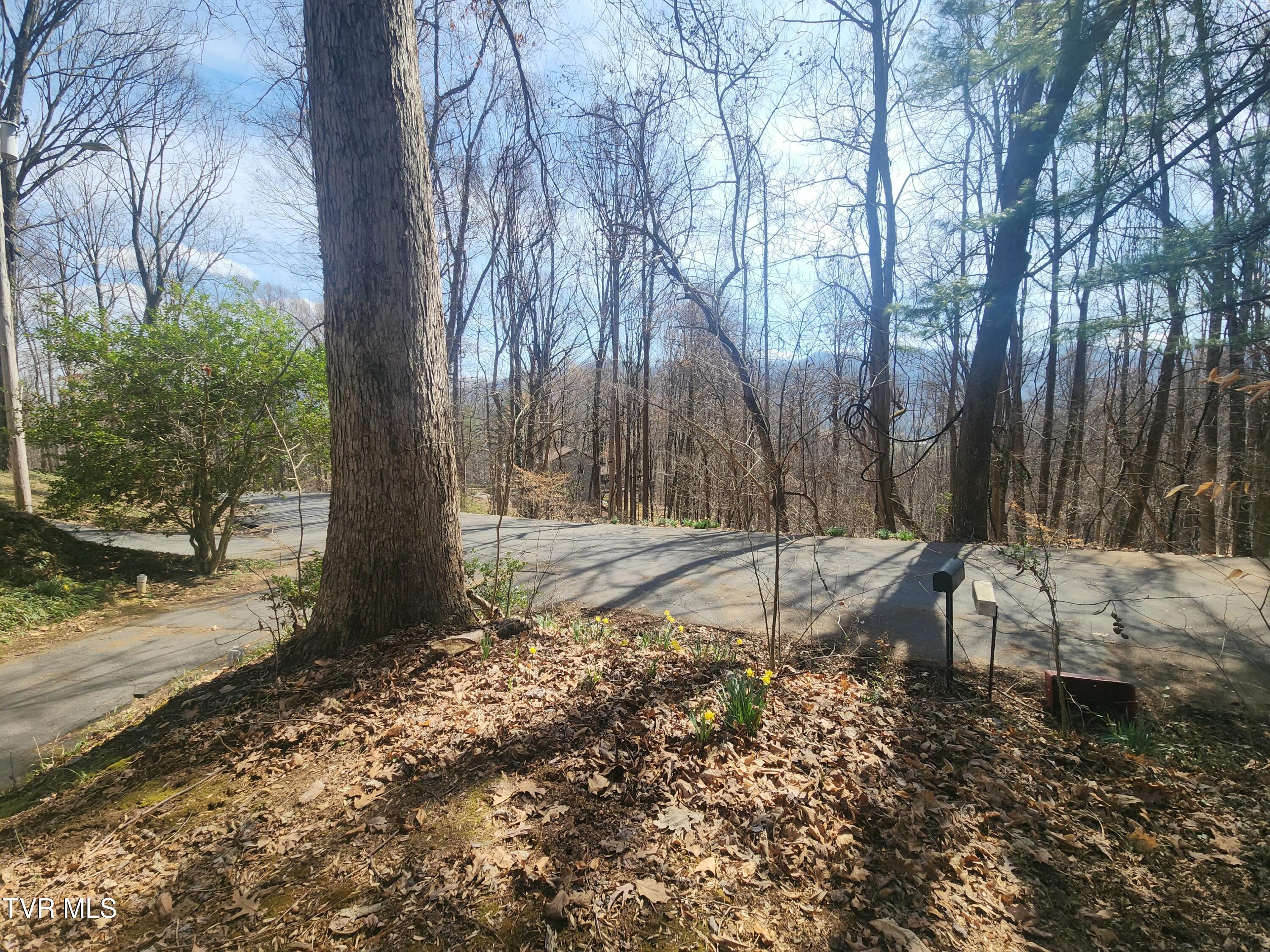 2201 Nantucket Road Johnson City, TN 37604 - Photo 4 of 64 20260305_115854