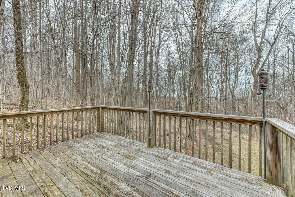 2201 Nantucket Road Johnson City, TN 37604 - Photo 42 of 64 2201 Nantucket Rd-39-XL