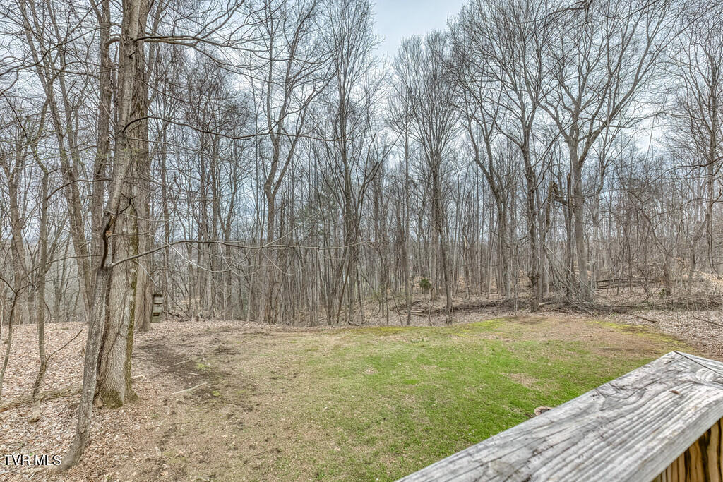 2201 Nantucket Road Johnson City, TN 37604 - Photo 43 of 64 2201 Nantucket Rd-40-XL