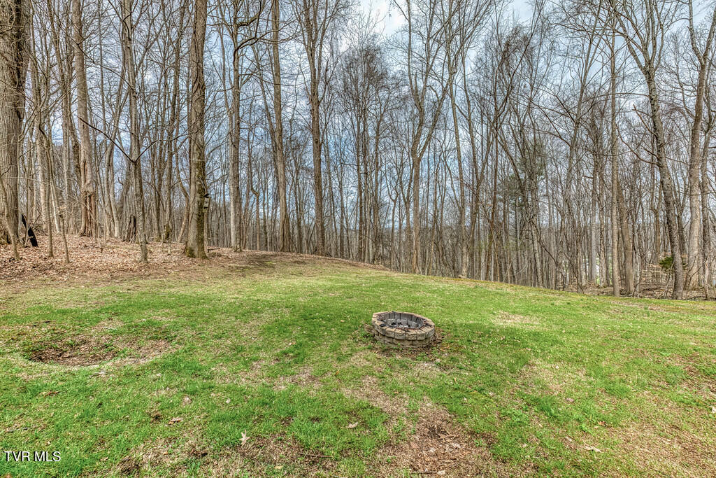 2201 Nantucket Road Johnson City, TN 37604 - Photo 45 of 64 2201 Nantucket Rd-42-XL