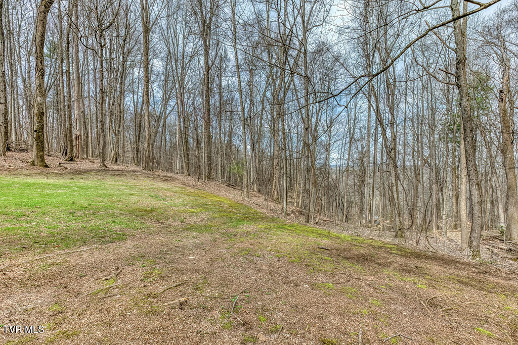 2201 Nantucket Road Johnson City, TN 37604 - Photo 46 of 64 2201 Nantucket Rd-43-XL