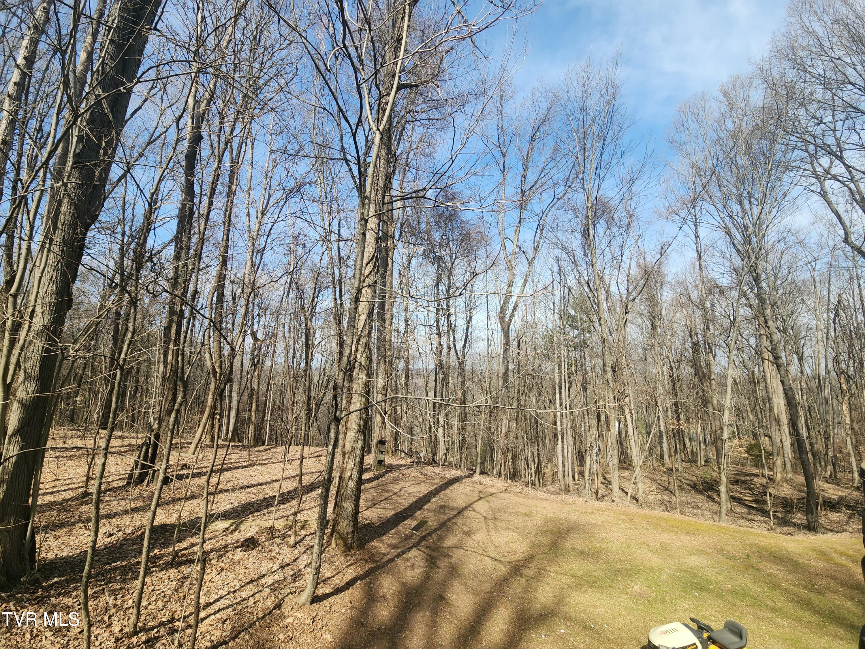 2201 Nantucket Road Johnson City, TN 37604 - Photo 47 of 64 20260305_112646