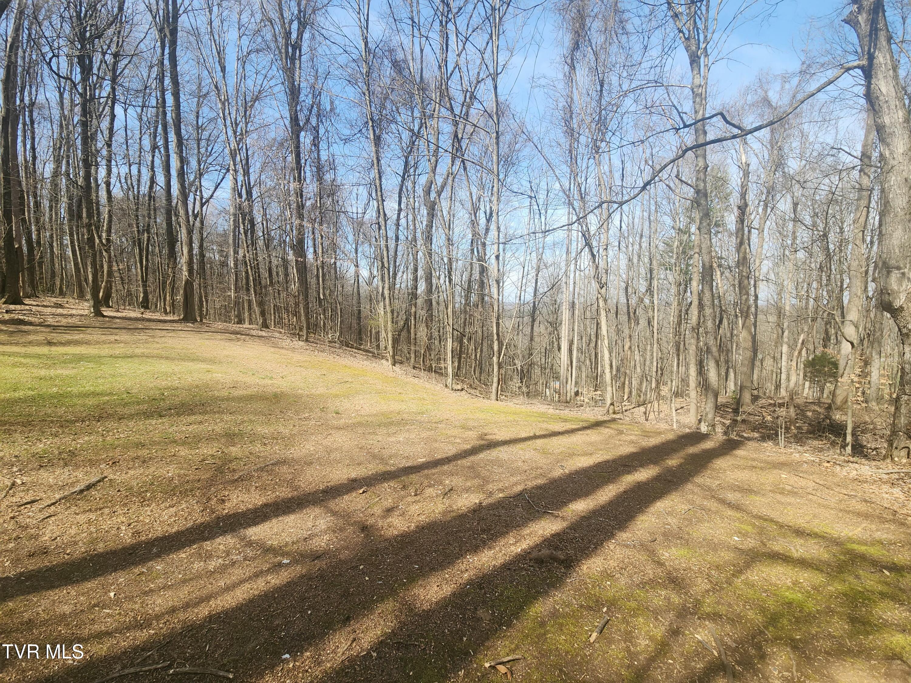 2201 Nantucket Road Johnson City, TN 37604 - Photo 48 of 64 20260305_113719