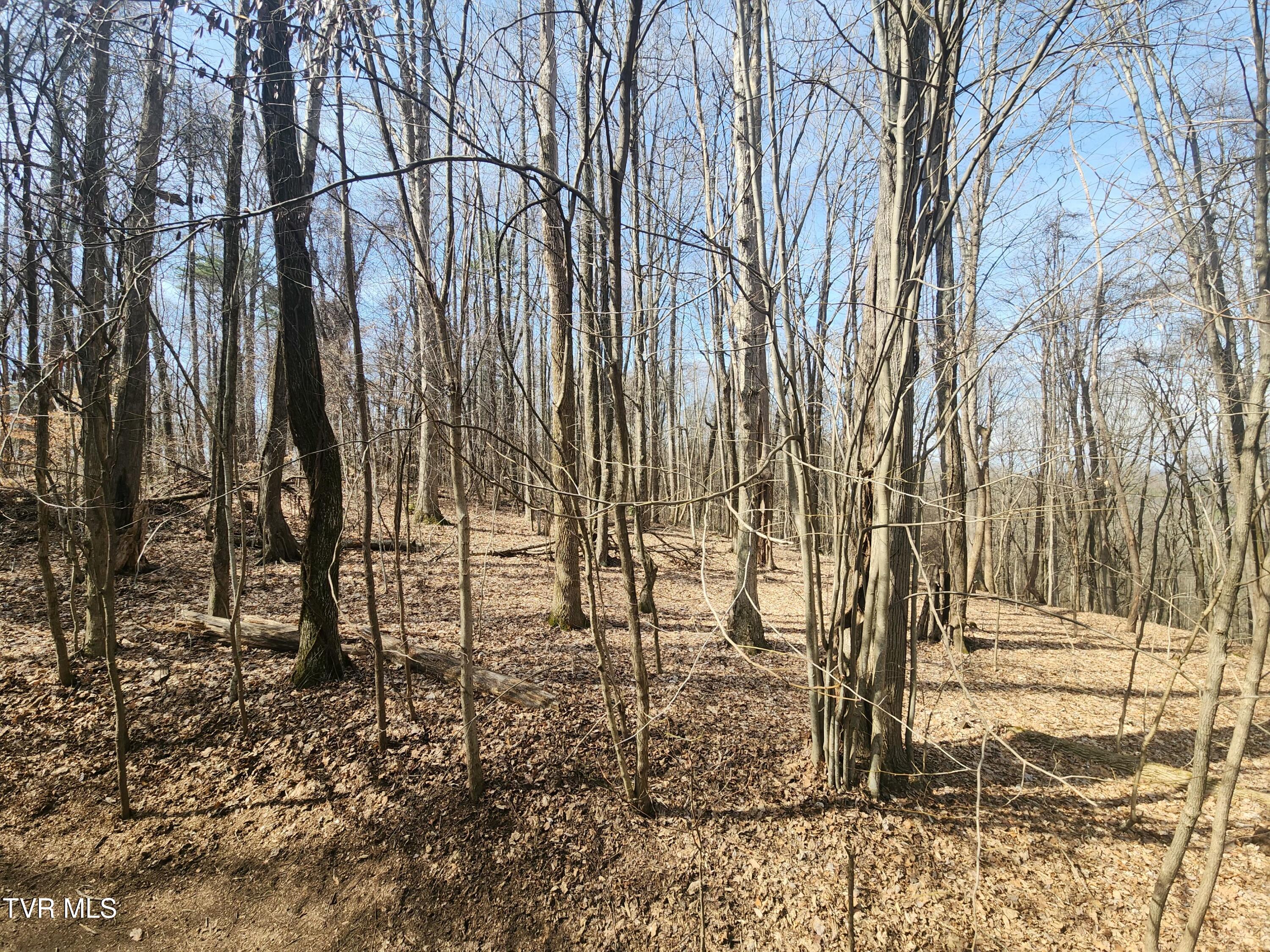 2201 Nantucket Road Johnson City, TN 37604 - Photo 49 of 64 20260305_112652