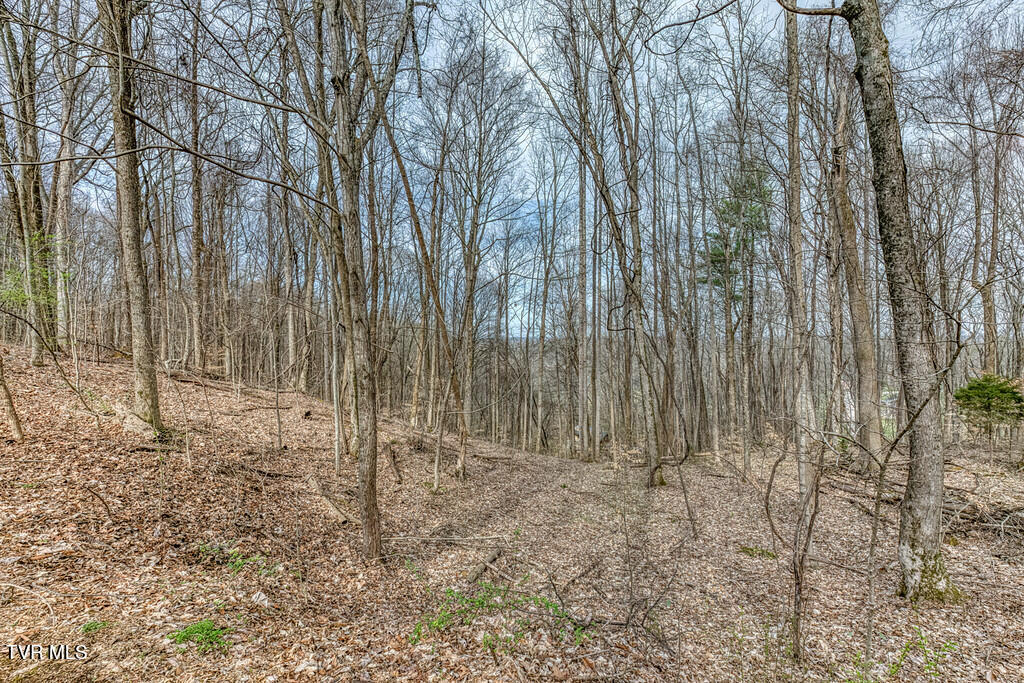 2201 Nantucket Road Johnson City, TN 37604 - Photo 50 of 64 2201 Nantucket Rd-44-XL
