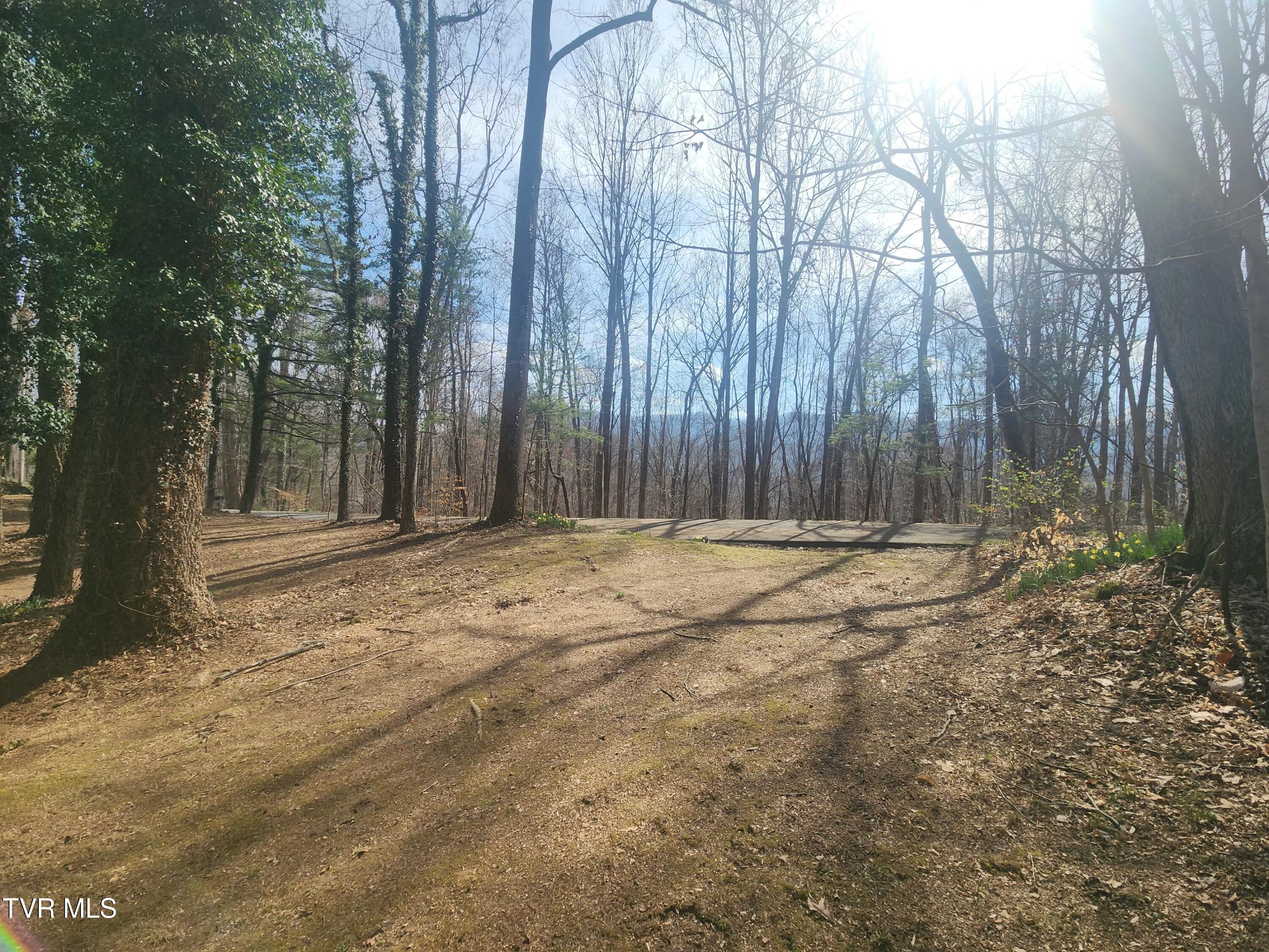 2201 Nantucket Road Johnson City, TN 37604 - Photo 58 of 64 20260305_113922