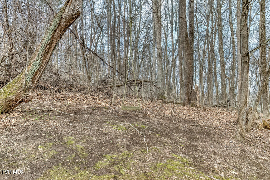 2201 Nantucket Road Johnson City, TN 37604 - Photo 59 of 64 2201 Nantucket Rd-53-XL