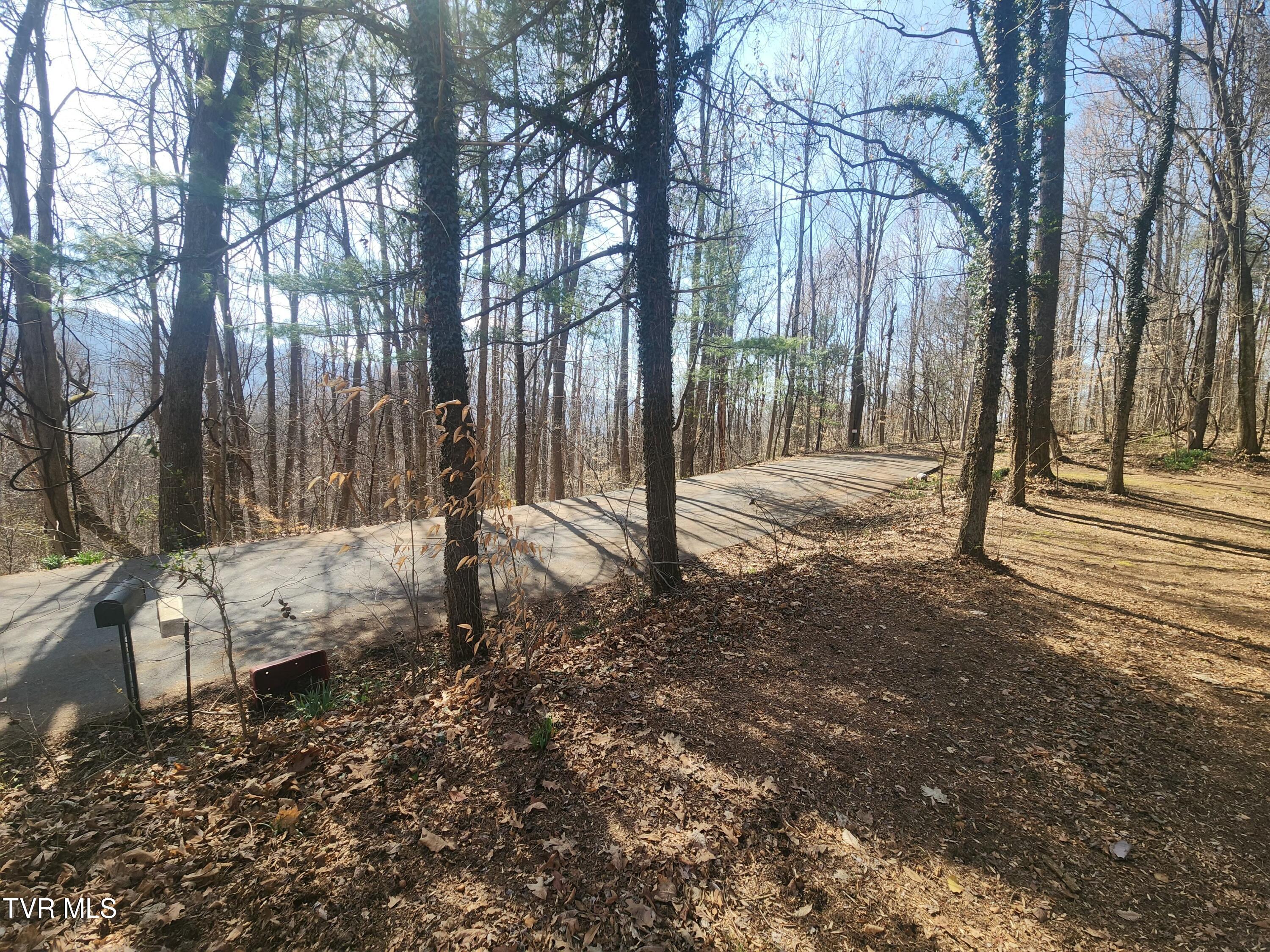 2201 Nantucket Road Johnson City, TN 37604 - Photo 6 of 64 20260305_115907