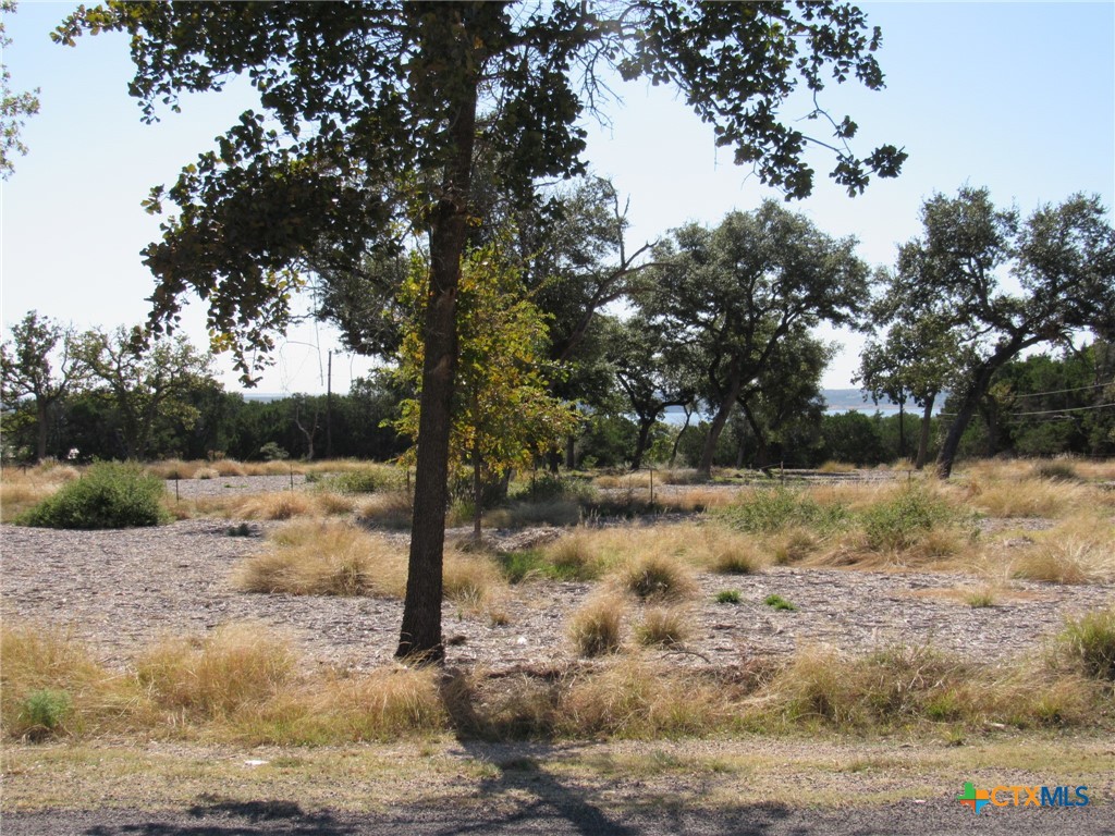 6971 Long Bow Road Belton, TX 76513 - Photo 3 of 5 a view of a yard with a tree