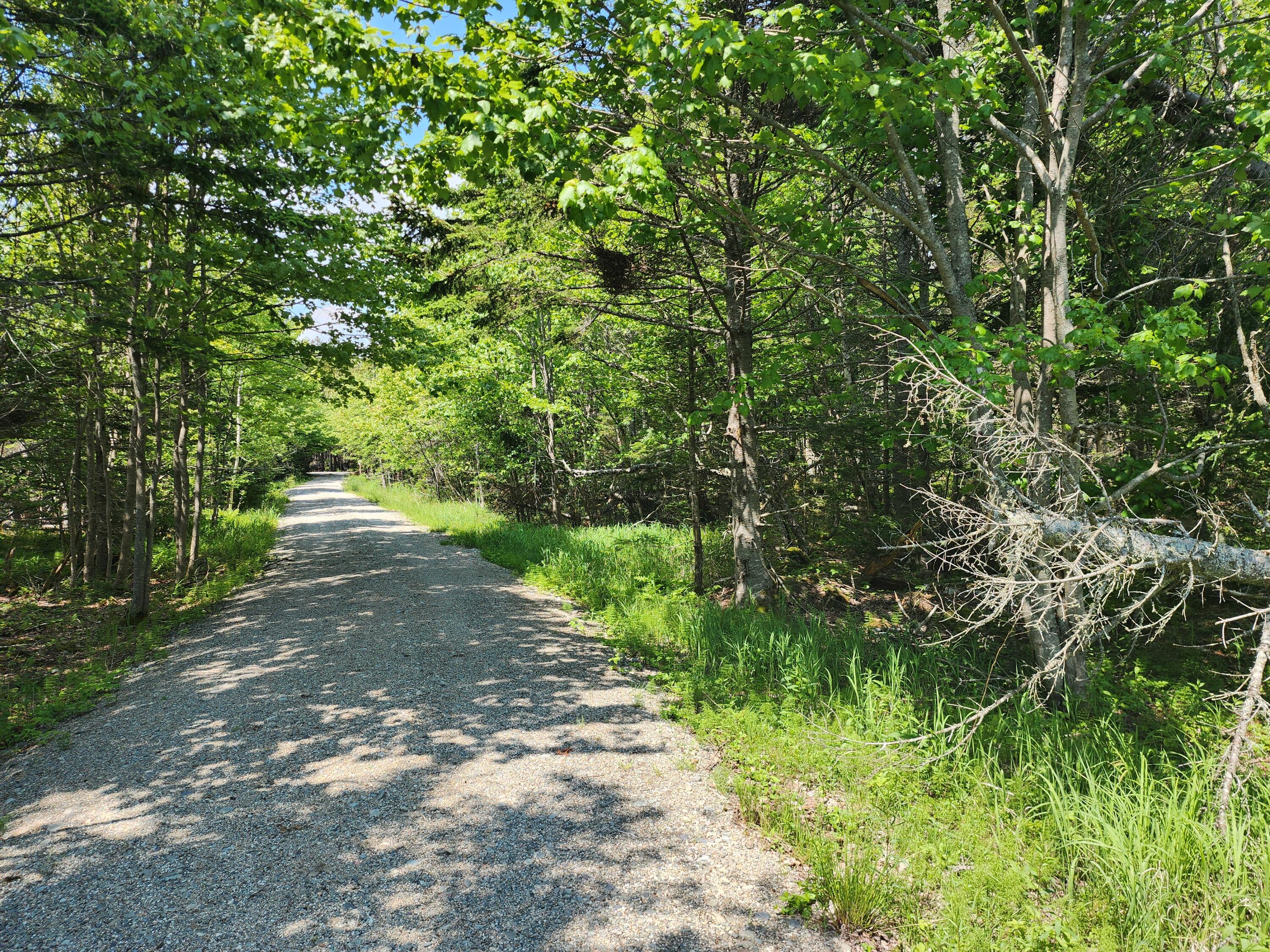 25 Chambers Point Road Roque Bluffs, ME 04654 - Photo 2 of 12 20250611_141557