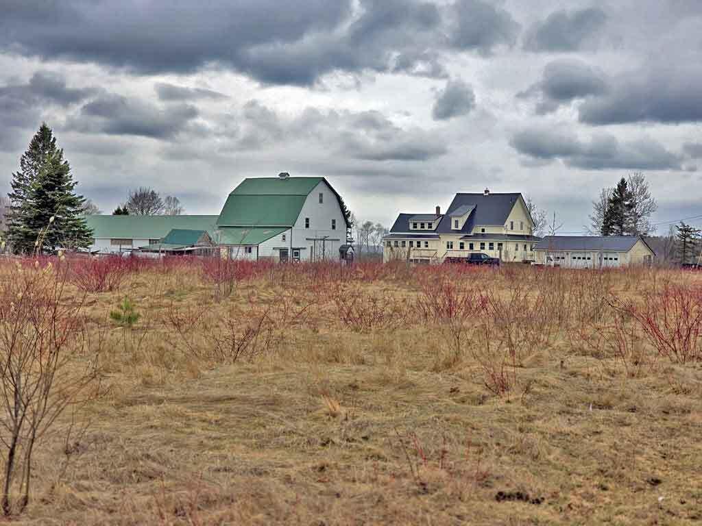 111 Currie Road Smyrna, ME 04780 - Photo 2 of 101 farm-for-sale-in-maine
