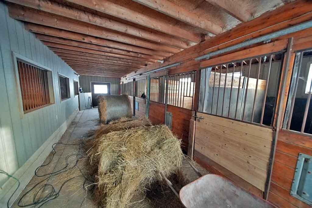 111 Currie Road Smyrna, ME 04780 - Photo 61 of 101 horse-box-stalls-stable