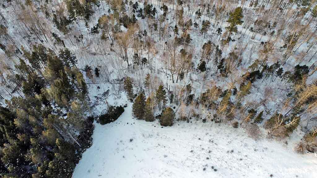 111 Currie Road Smyrna, ME 04780 - Photo 69 of 98 wooded-land-me-farm