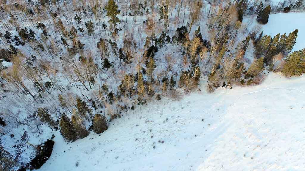111 Currie Road Smyrna, ME 04780 - Photo 71 of 98 woods-pasture-fields