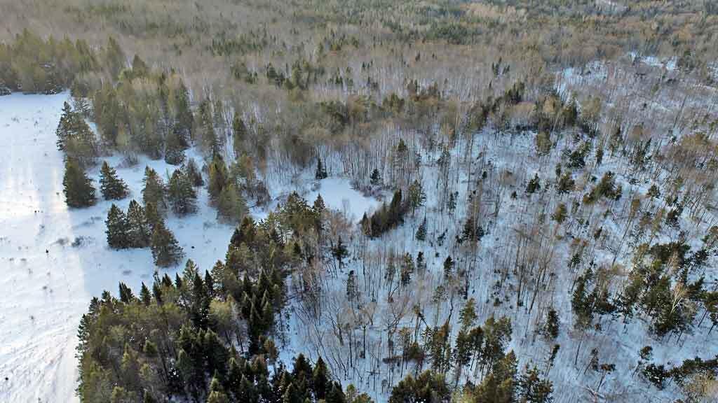 111 Currie Road Smyrna, ME 04780 - Photo 72 of 101 woodland-pond-cabin