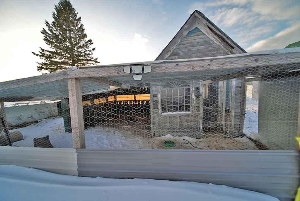 111 Currie Road Smyrna, ME 04780 - Photo 87 of 98 hen-house-me-farm