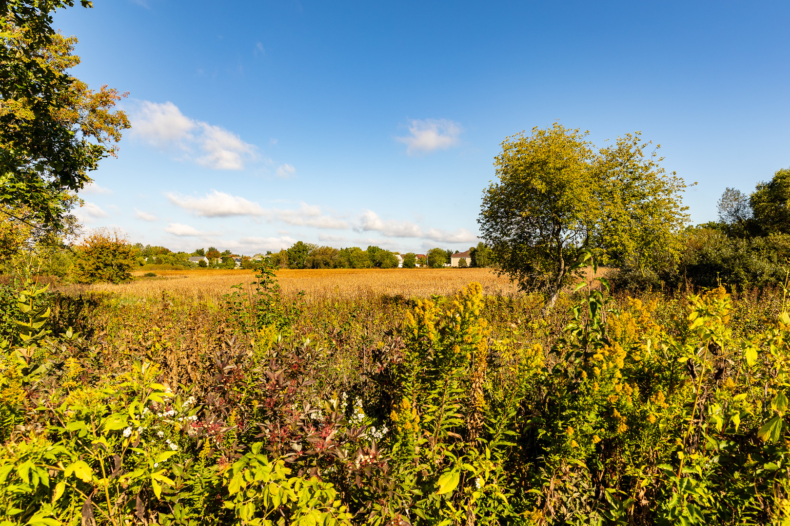 2308 Loop Road Algonquin, IL 60102 - Photo 55 of 73