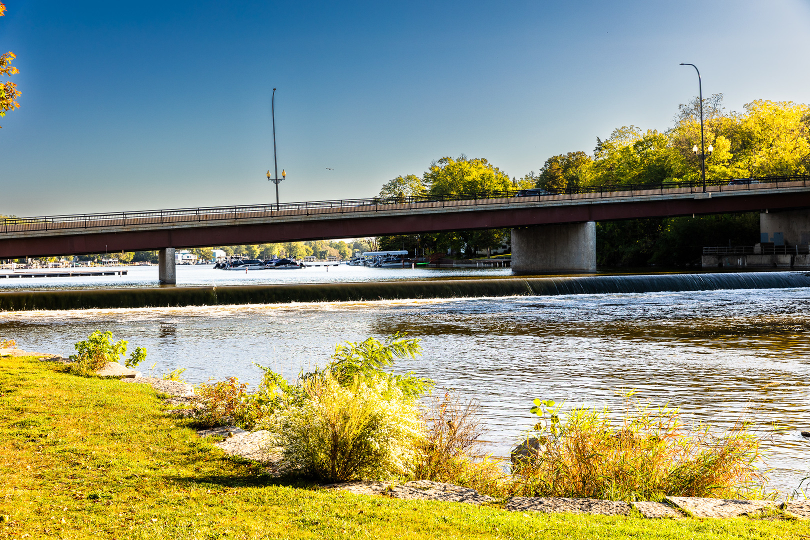 2308 Loop Road Algonquin, IL 60102 - Photo 63 of 73 a view of a swimming pool